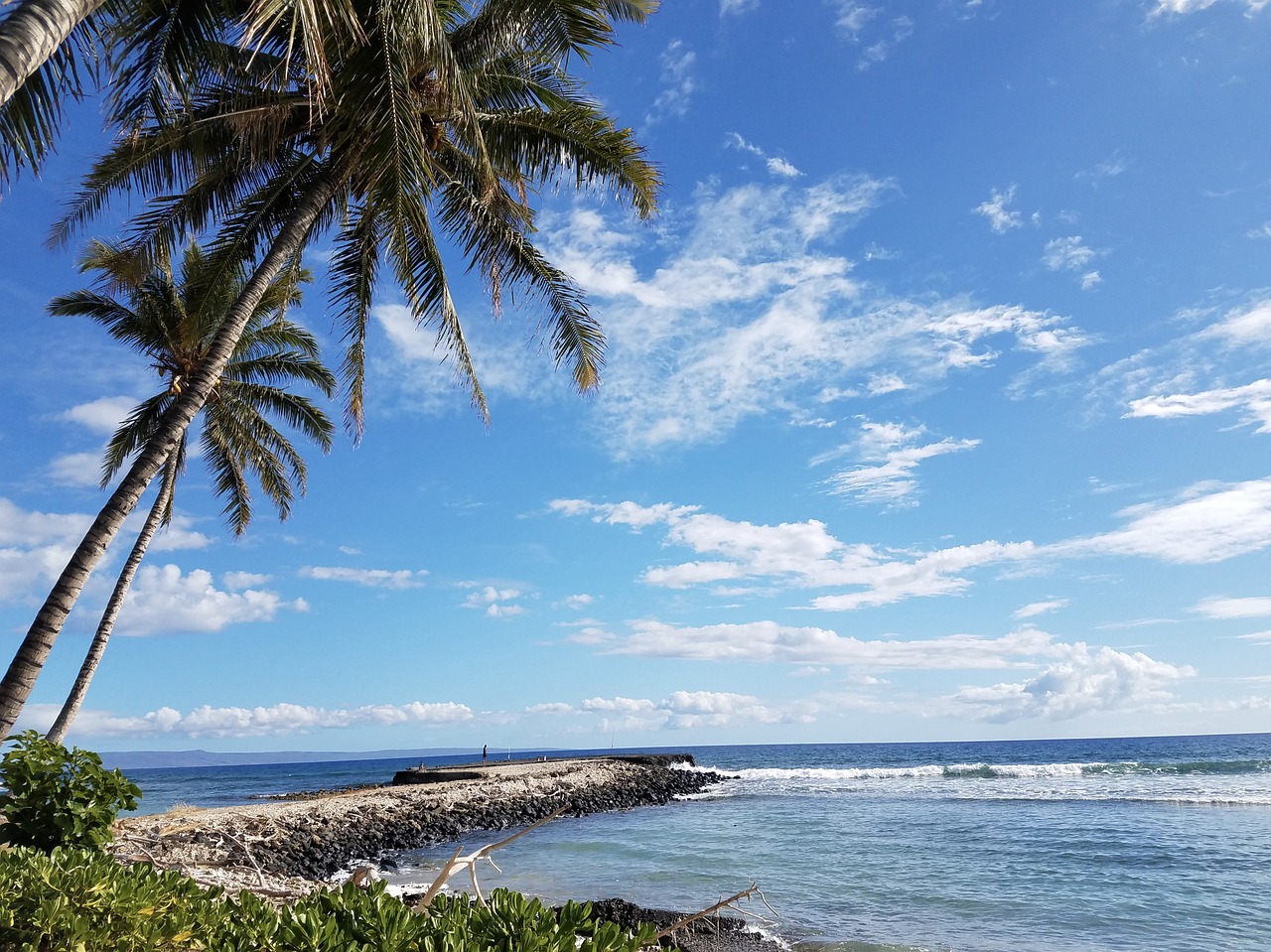 Ada Nyiur di Pantai