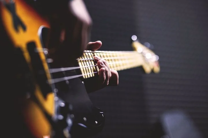 Elison and His Guitar